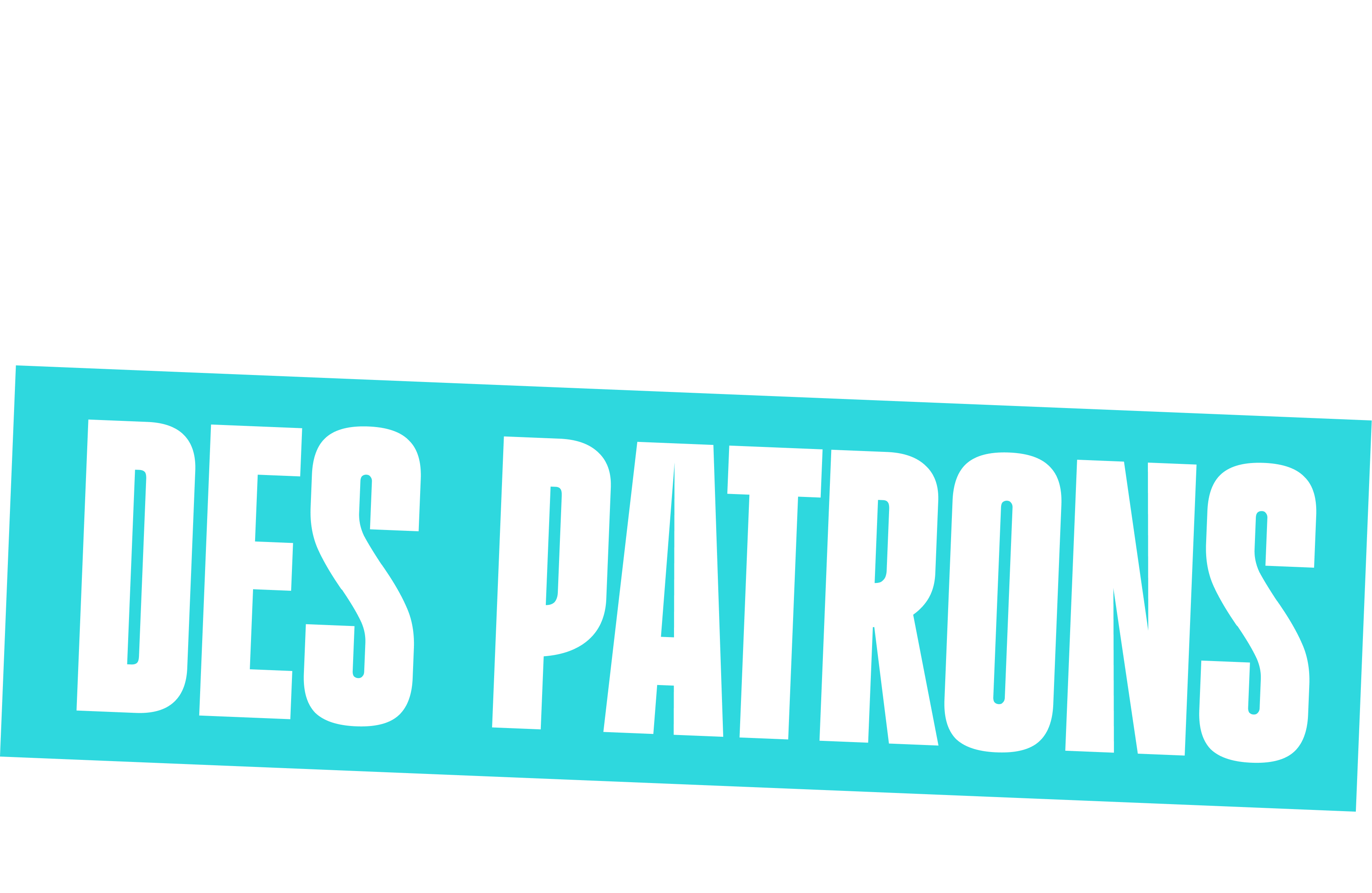 Tournée des Patrons